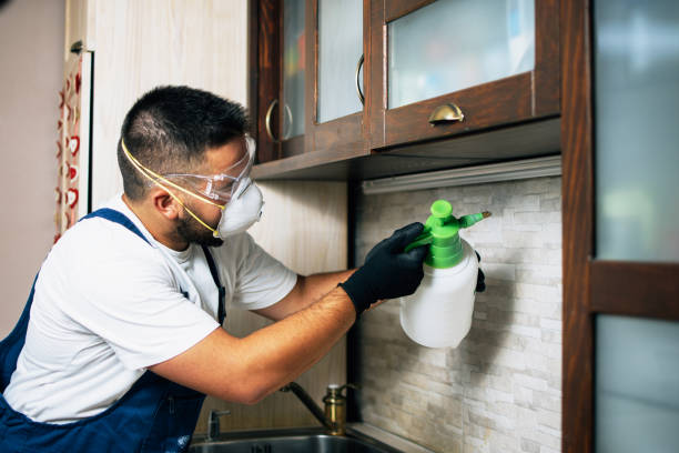 Best Affordable Pest Control Services  in Kingston Springs, TN