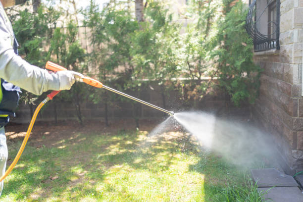 Best Spider Control Near Me  in Kingston Springs, TN