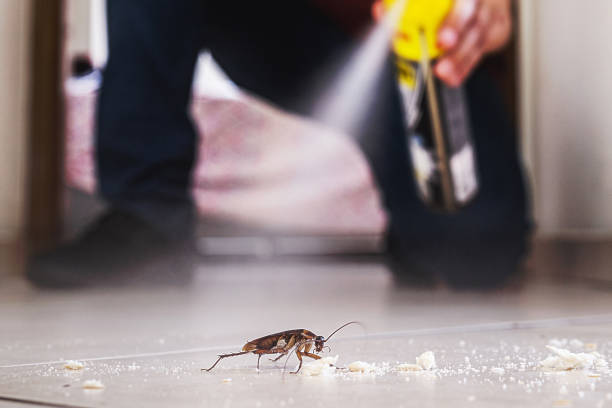Reliable Kingston Springs, TN Pest Control Solutions